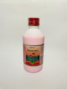 Magaldrate 400 mg + Simethicone 20 mg (Mint Flavoured) Syrup